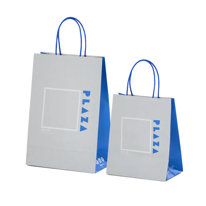 2010年代のショッピングバッグ