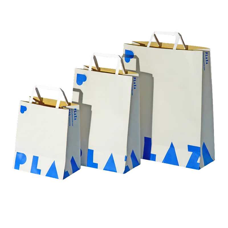 2020年代のショッピングバッグ