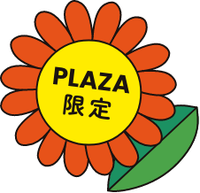 PLAZA限定