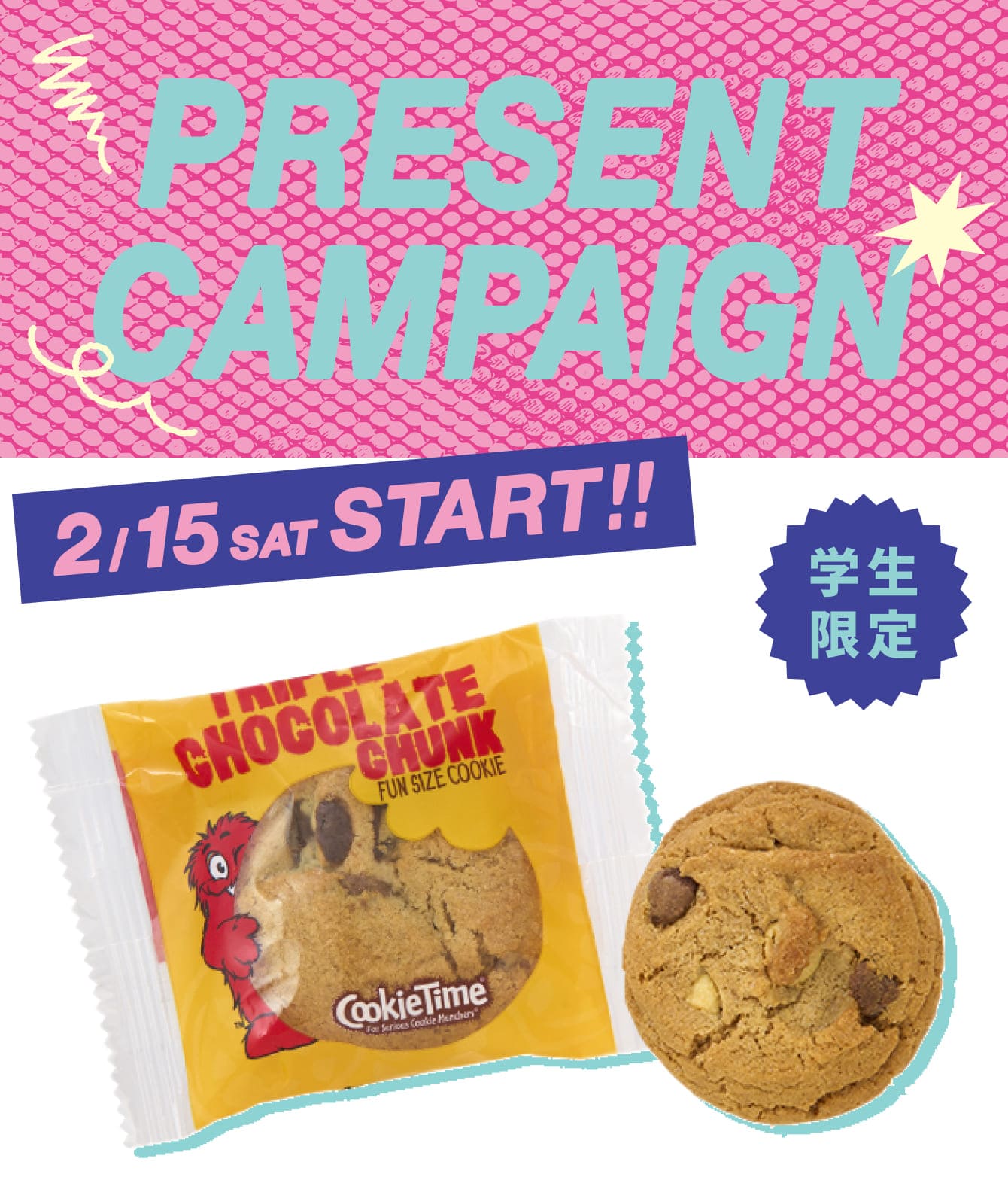 PRESENT CAMPAIGN