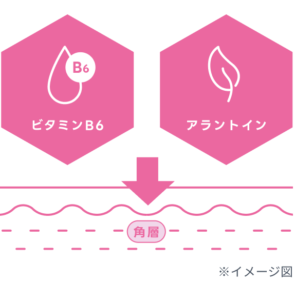 ビタミンB6とアラントインの有効成分図