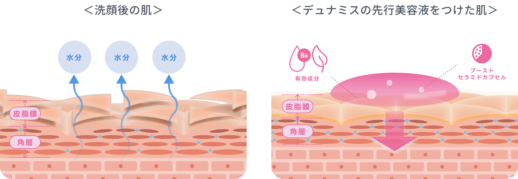 洗顔後の肌と美容液をつけた肌の比較図