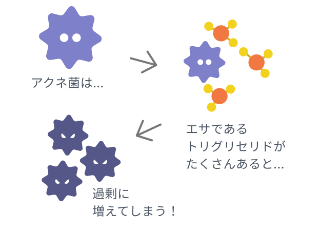 アクネ菌とトリグリセリドの関係を示した図