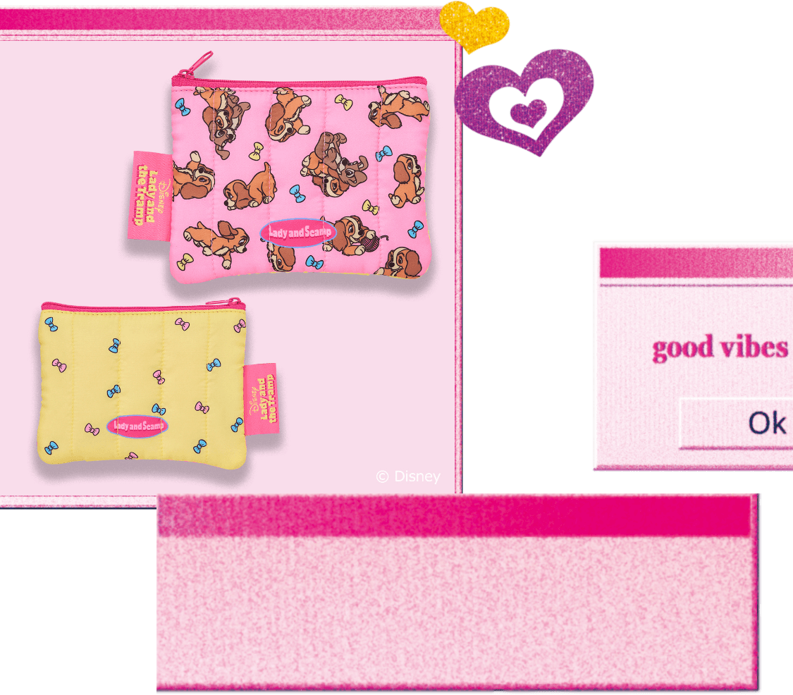 Disneyフラットポーチ  レディ