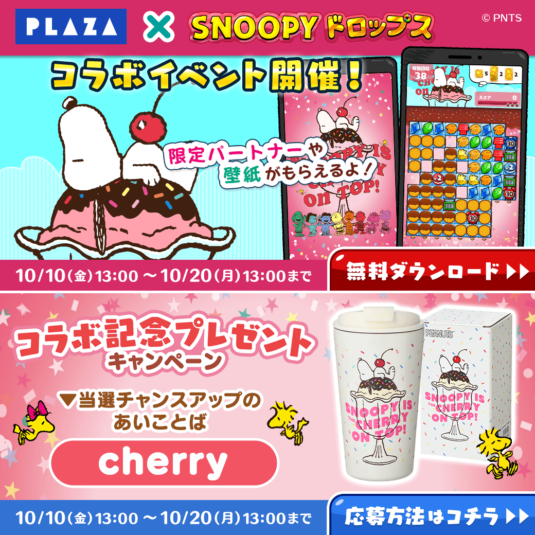 キャンペーン