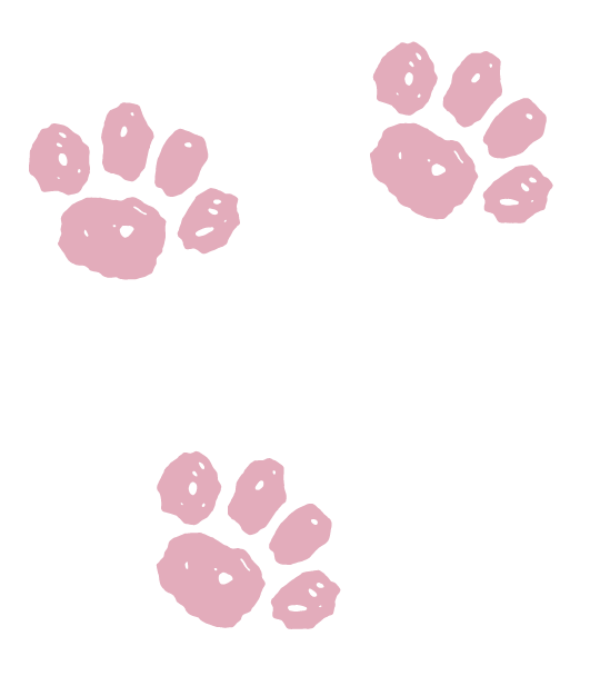 キャラクターイラスト