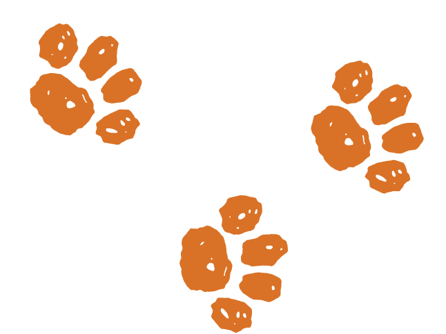 キャラクターイラスト