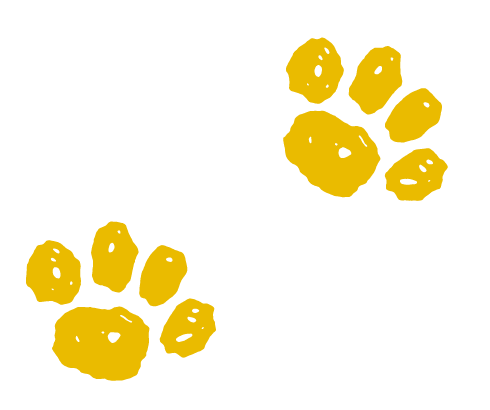 キャラクターイラスト