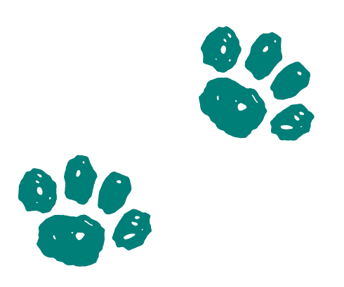 キャラクターイラスト