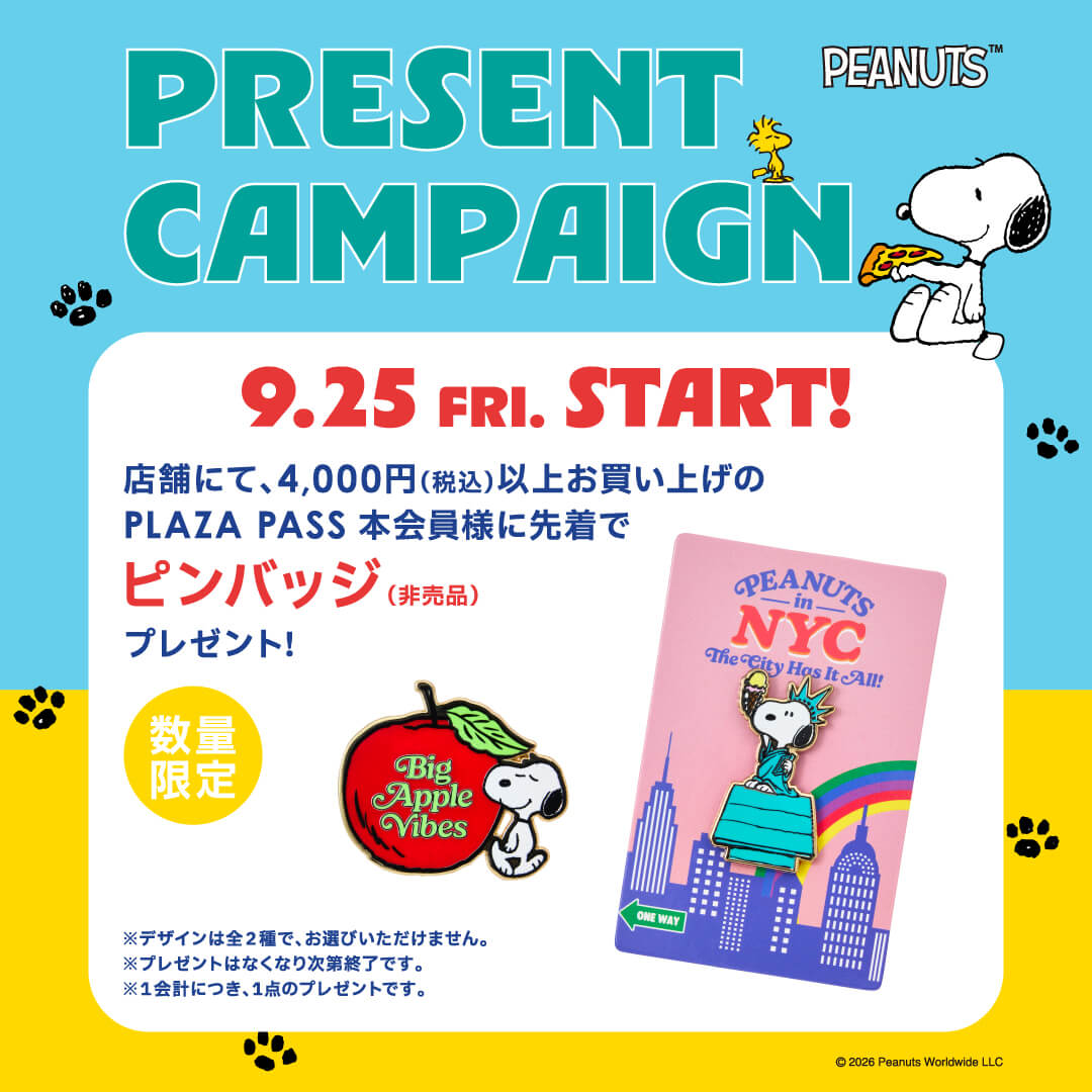 PRESENT CAMPAIGN