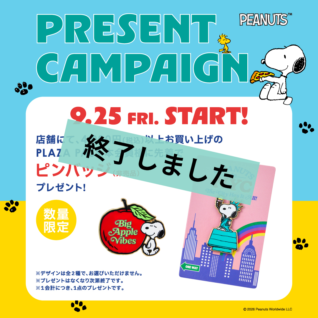 PRESENT CAMPAIGN
