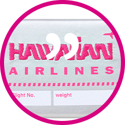ハワイアン航空 アクセサリーケース　シルバー