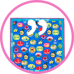 Fruit of the Loom ランチクロス