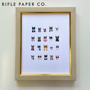 【POP UP】Rifle Paper Co. ライフルペーパー フレームインアートプリント クールキャット S 額装済アートポスター