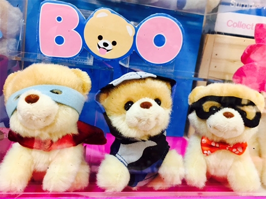 アイドル犬 Booちゃん キーチェーンになりました 天王寺ミオ店 Store Blog Plaza プラザ