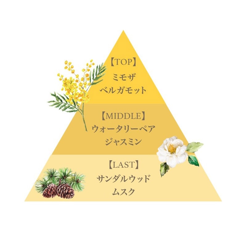 FERNANDA フェルナンダ ギフトセット ミモザブーケ(セット): 通常