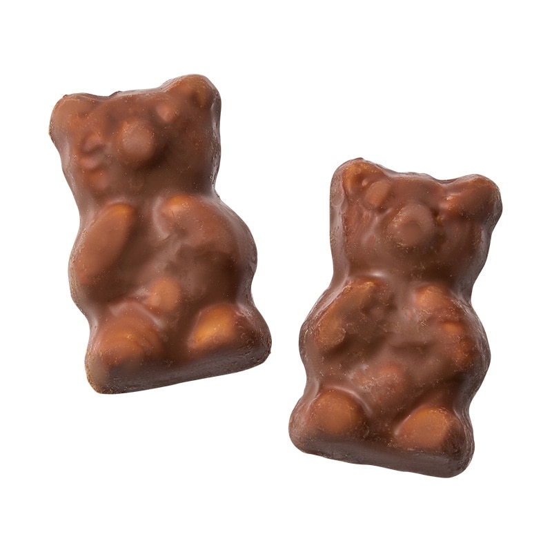 Lutti ルッティ コアラチョコマシュマロ 100g(チョコマシュマロ): 通常