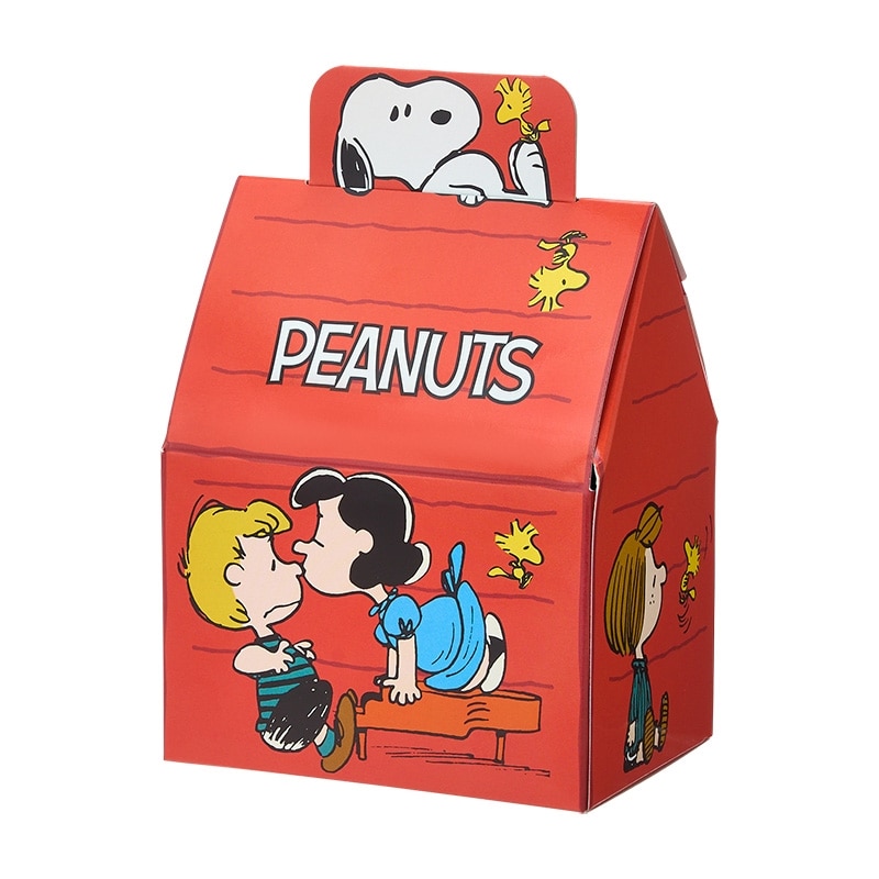 スヌーピー PEANUTS ハウススイーツ ボックス(チョコチップ