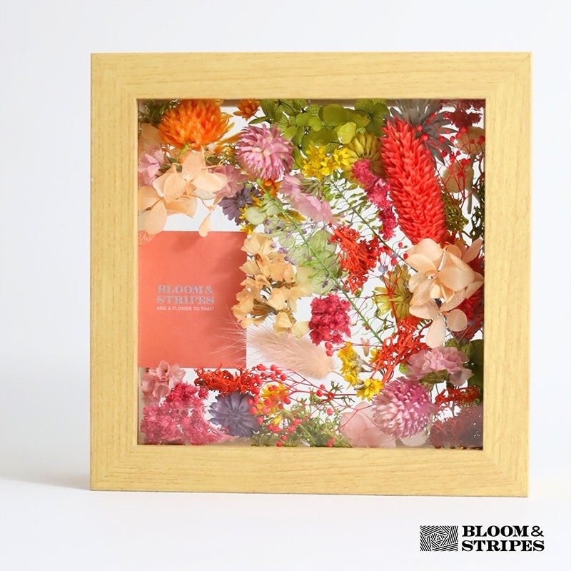 特別価格 5/6までの販売】BLOOM&STRIPES プリザーブドフラワーフレーム 額縁