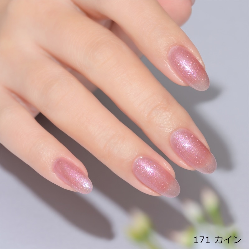 Gel Me1 ジェルミーワン ジェルネイル（GM171・172・173）(171 カイン