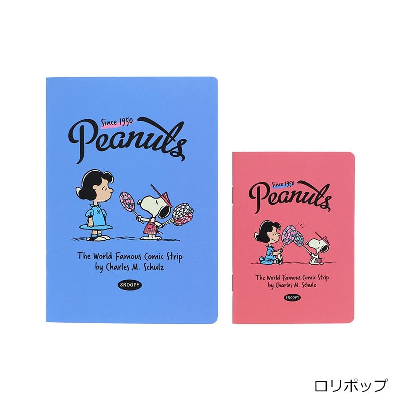 スヌーピー PEANUTS ノートセットB6・B7 アメリカンテイスト(アイス