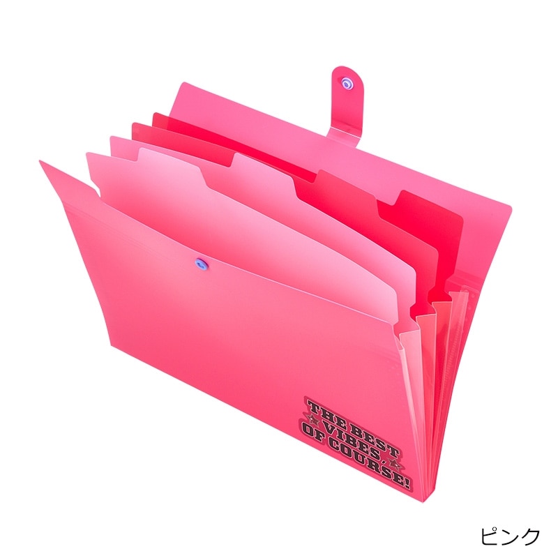 5ポケットファイル A4サイズ(パープル): 通常| プラザオンラインストア