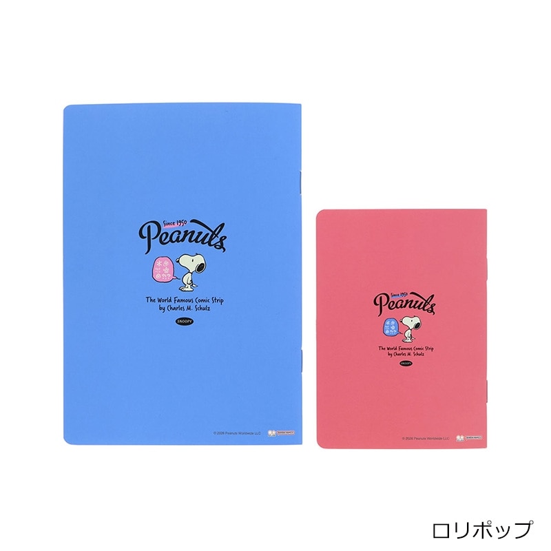 スヌーピー PEANUTS ノートセットB6・B7 アメリカンテイスト(アイス