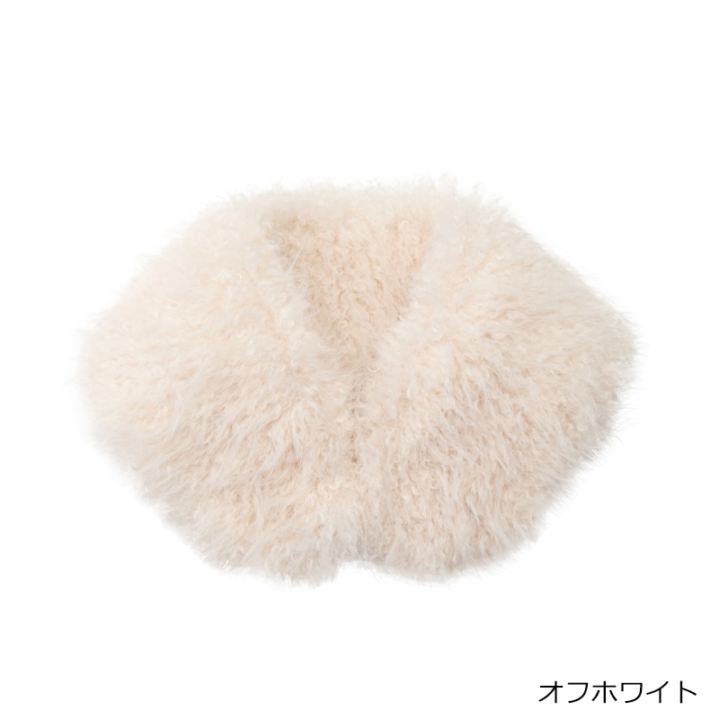 カールファーティペット