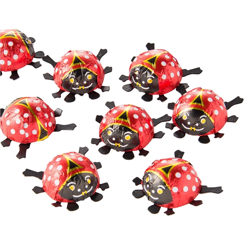 STORZ ストルツ レデイバードチョコレート 10個入り