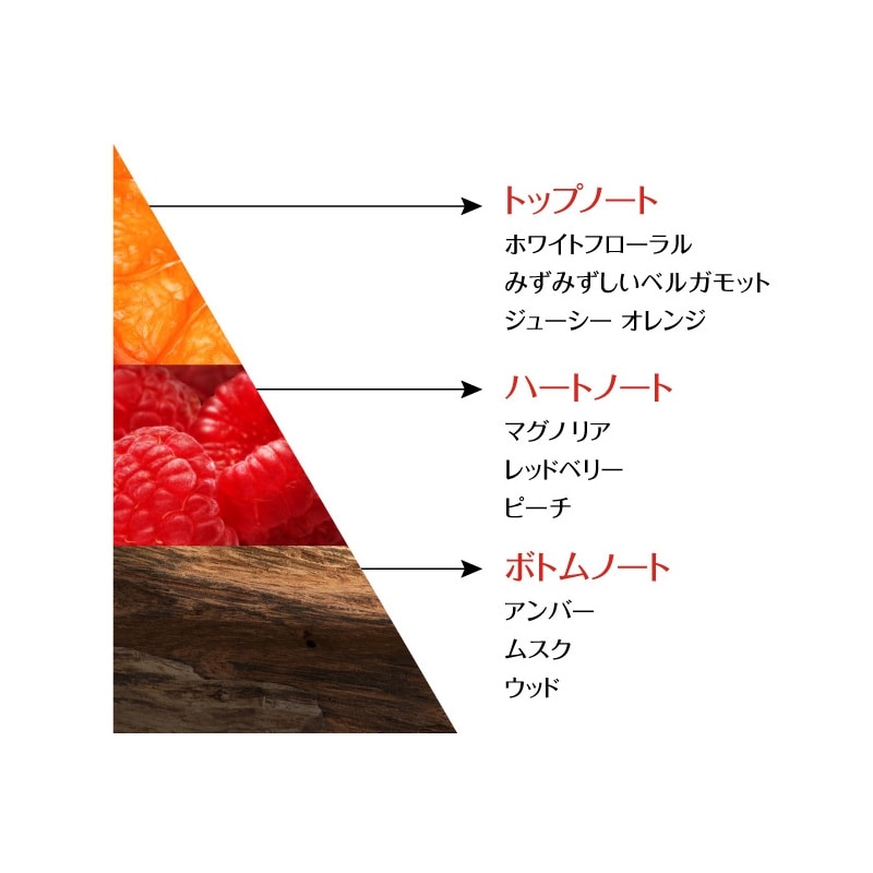 ロレアル パリ ボンド リペア シャンプー | ヘアケア | ロレアル