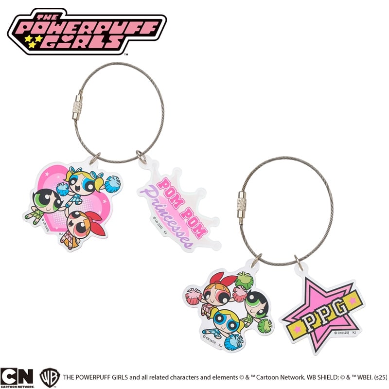 Powerpuff Girls 未開封商品 SPACE IX Vol.2 The Powerpuff Girls Cards Anime Collection