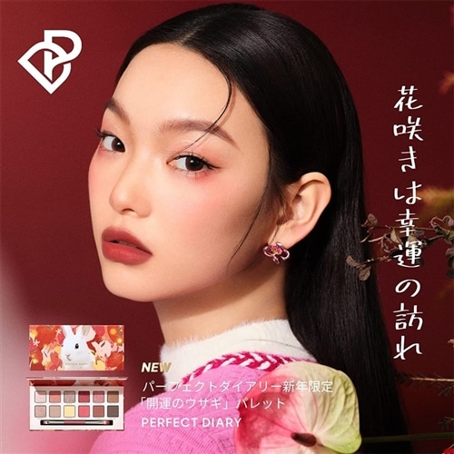 PERFECT DIARY (パーフェクトダイアリー) エクスプローラ 12色