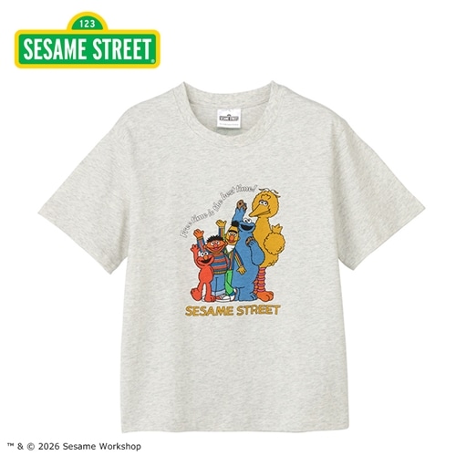 Sesame Street / セサミストリート Tシャツ フレンズ アッシュ