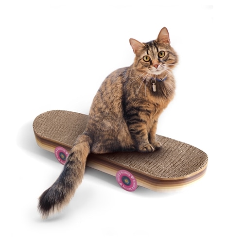 【ペット用品】SUCK UK キャットスクラッチャースケボー 爪とぎ※ラッピング不可