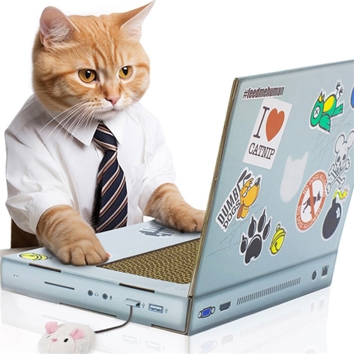 【ペット用品】SUCK UK キャットスクラッチャーLAPTOP 爪とぎ※ラッピング不可
