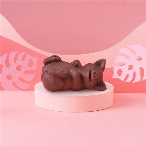 ZOOLOGY ズーロジー チョコレート コブタ