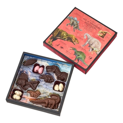 ダイナソー　チョコレートの空き箱 恐竜チョコ 10個入 ダイナソー チョコレート | ギフト お返し 菓子 お