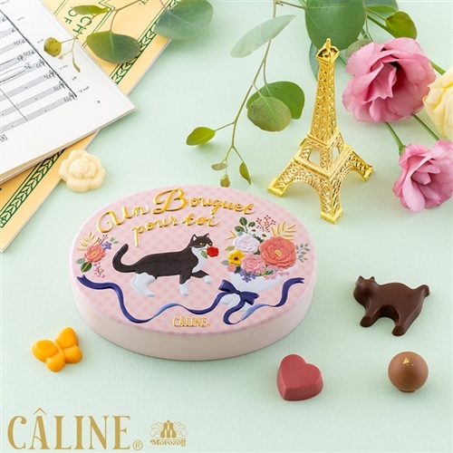 モローパリ MOREU PARISセレスタン&ブレガンソンジップ2点セット Morozoff CALINE モロゾフ カリーヌ 10個入り(10個入り): 通常| プラザ