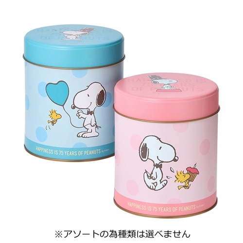 スヌーピー PEANUTS サークルギフト缶(チョコチップクッキー) ※アソートの為種類は選べません